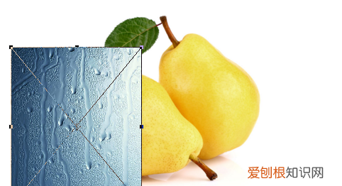 ps怎样再次调整图片进行缩放 ps如何缩小放大图片不变形