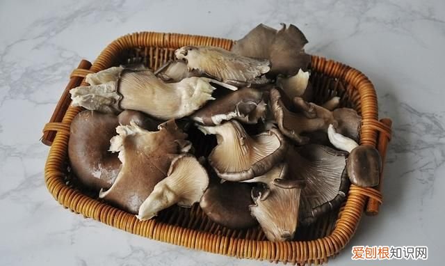 平菇出白毛敢炒着吃吗,蘑菇平菇炒多长时间能熟