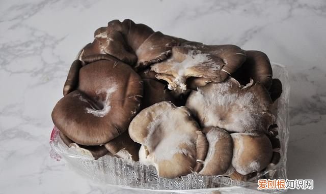 平菇出白毛敢炒着吃吗,蘑菇平菇炒多长时间能熟