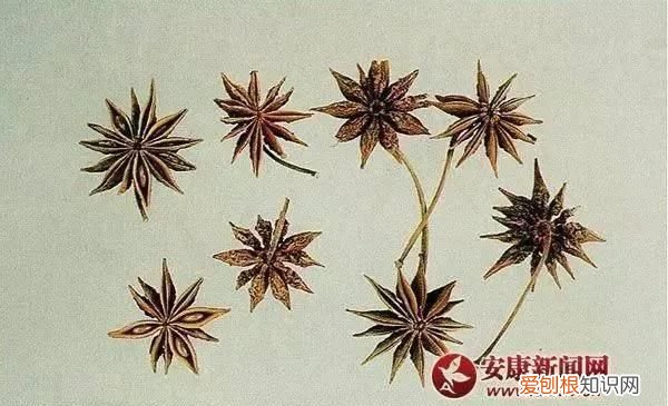 香料包的秘密八角,八角卤料包香料配方
