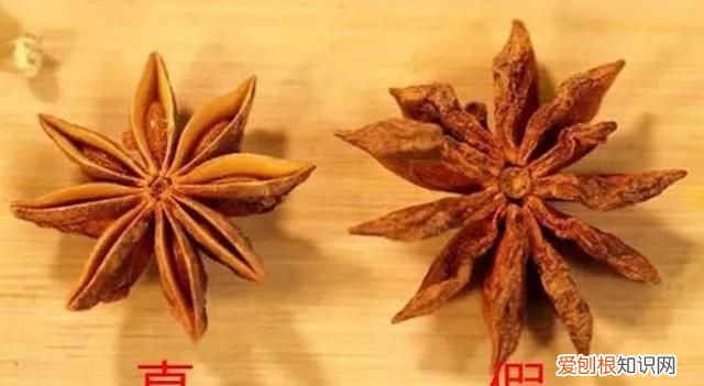 香料包的秘密八角,八角卤料包香料配方