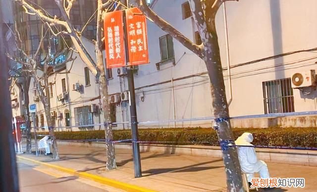 上海是不是南方的城市