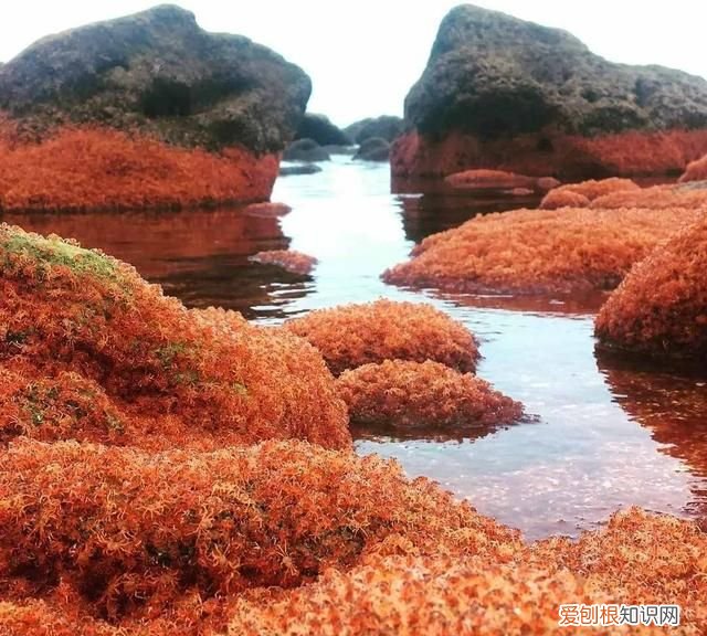 圣诞岛属于澳大利亚哪个区 澳大利亚圣诞岛现状