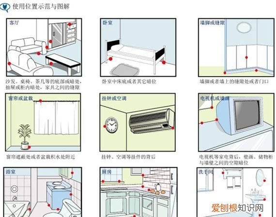 家看不到大蟑螂小蟑螂很多怎么办 蟑螂跑进菜里面还能吃么