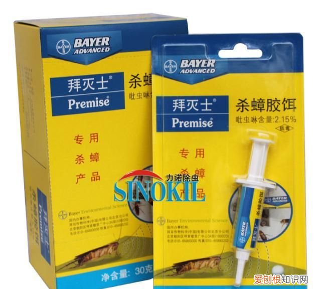家看不到大蟑螂小蟑螂很多怎么办 蟑螂跑进菜里面还能吃么