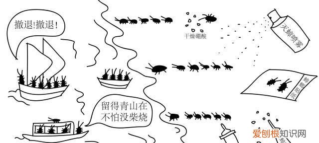 家看不到大蟑螂小蟑螂很多怎么办 蟑螂跑进菜里面还能吃么