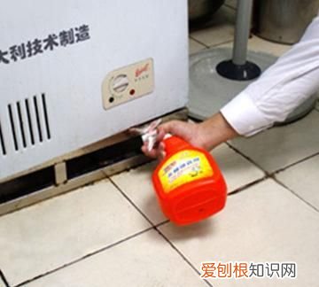 家看不到大蟑螂小蟑螂很多怎么办 蟑螂跑进菜里面还能吃么