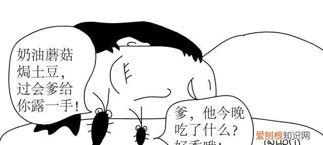 家看不到大蟑螂小蟑螂很多怎么办 蟑螂跑进菜里面还能吃么