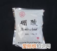 家看不到大蟑螂小蟑螂很多怎么办 蟑螂跑进菜里面还能吃么