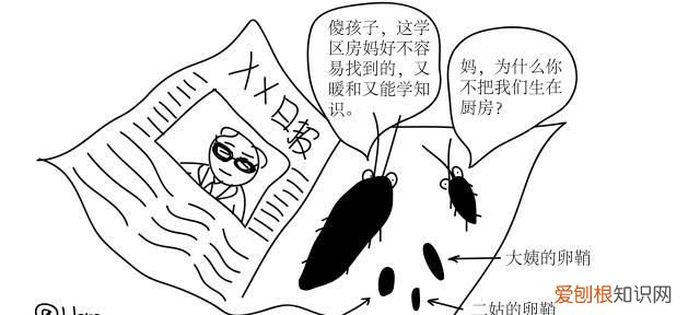 家看不到大蟑螂小蟑螂很多怎么办 蟑螂跑进菜里面还能吃么