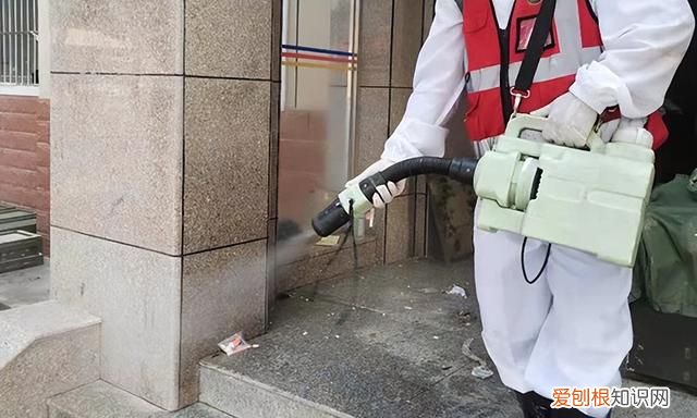 教你几招简单又方便的防鼠小技巧