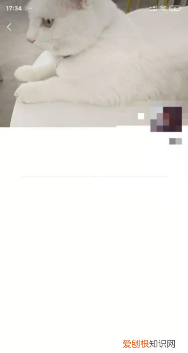微信怎么看谁把我删了