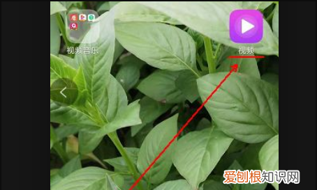 手机删掉的怎么恢复，手机相册永久删除后怎么恢复免费