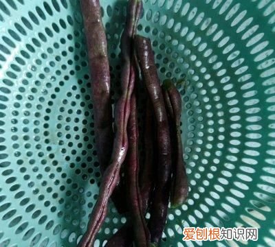 大厨教你干煸四季豆的正宗做法,如何爆炒四季豆