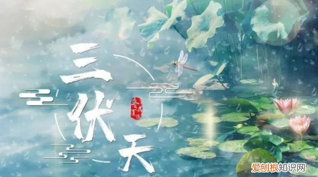 三伏肉怎么做好吃 三伏天肉的正确吃法