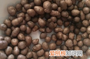 怎么做冰糖山药豆,冰糖山药的做法大全