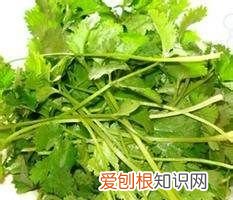 肚丝汤怎么做,猪肚丝汤怎么做