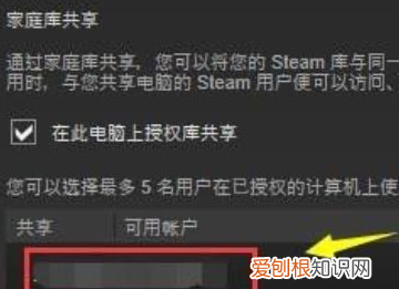 怎么设置steam账号共享，steam家庭共享怎么用不了