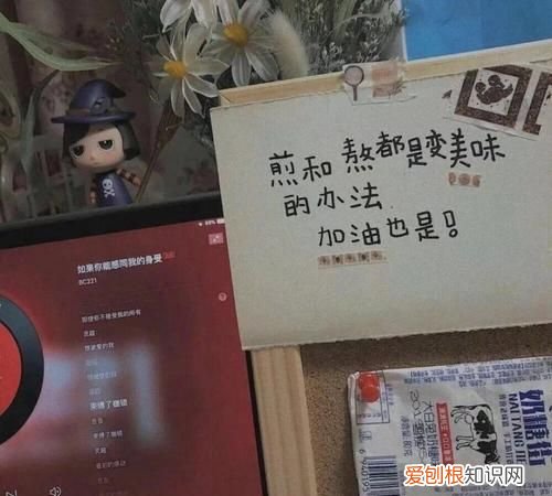今日份到底是什么意思