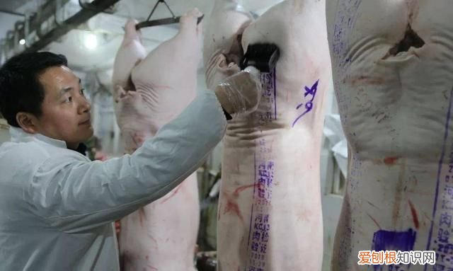 买猪肉什么形的章最安全 买猪肉时盖什么颜色的章是好肉