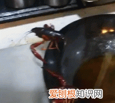 小龙虾的虾黄到底是精华还是屎,小龙虾头部的虾黄到底能不能吃到