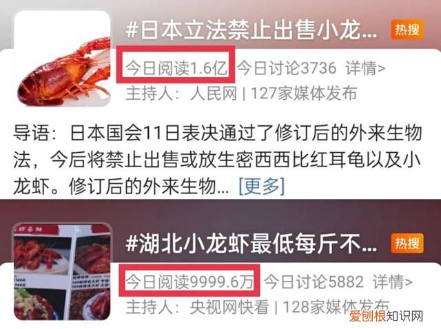小龙虾的虾黄到底是精华还是屎,小龙虾头部的虾黄到底能不能吃到