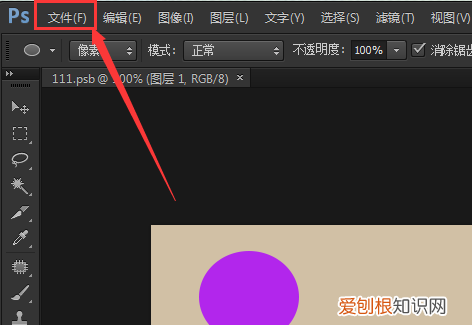 psb格式的文件怎么打开