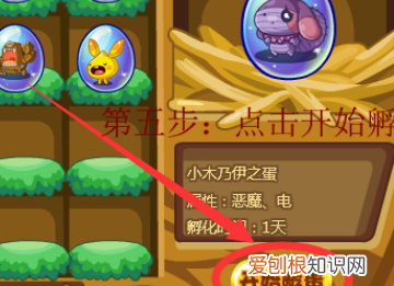 4399洛克王国宠物蛋怎么孵化