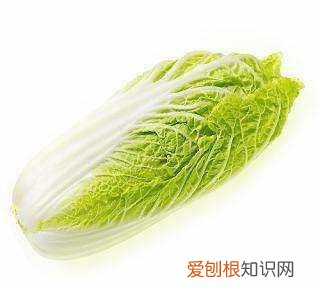 平定瓤白菜蒸碗做法,白菜的快速做法是怎样的?