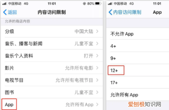 苹果手机怎么隐藏app,苹果手机怎么样才可以隐藏App图标