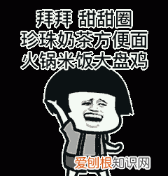 蚊子咬人是母蚊子还是公蚊子,叮人的是公蚊子还是母蚊子