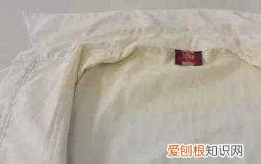 白衣服变黄84消毒液怎么泡能变白