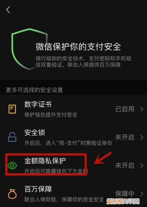 微信怎么屏蔽零钱金额，微信隐藏零钱余额怎么设置显示