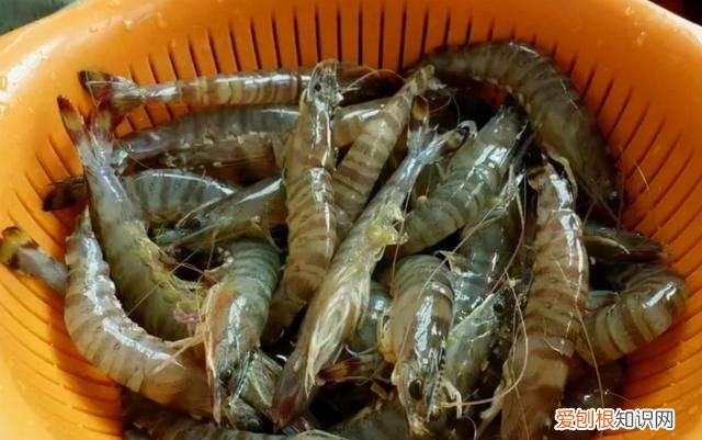 煮活虾，别水开后再下锅，厨师教你4招，虾肉又香又嫩，没有腥味