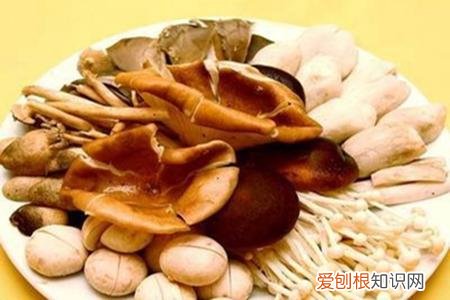 养肝吃什么好