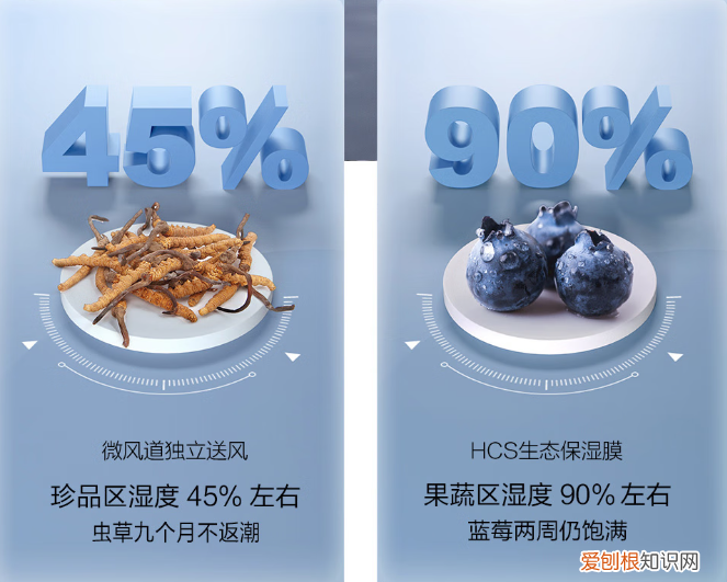 性价比高的冰箱