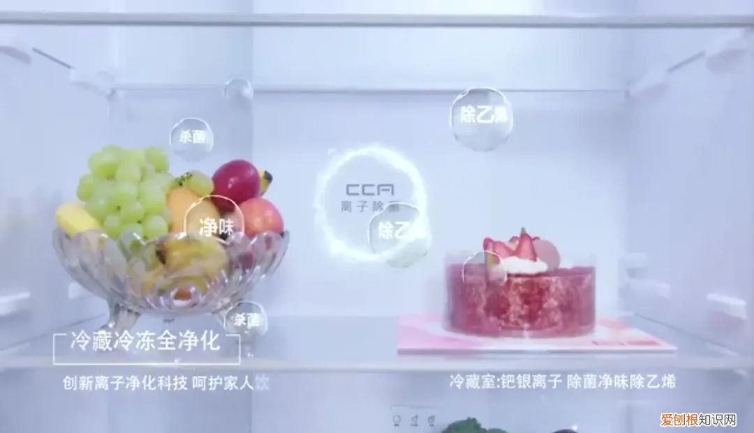 性价比高的冰箱