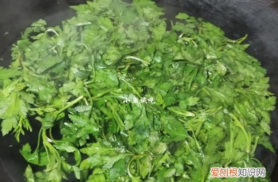 此菜被誉为天然养胃菜 这菜1元1斤却是天然养胃菜
