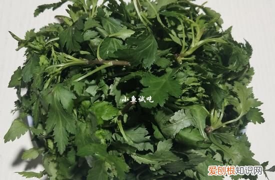 此菜被誉为天然养胃菜 这菜1元1斤却是天然养胃菜