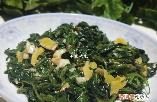 此菜被誉为天然养胃菜 这菜1元1斤却是天然养胃菜