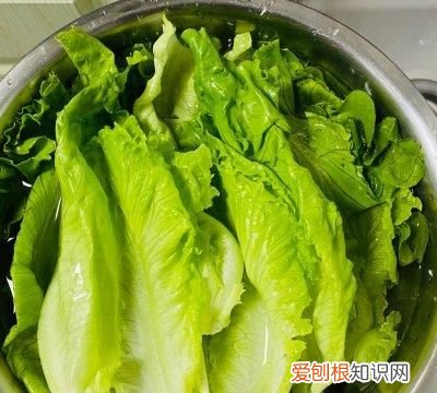 蚝油生菜就这么做新手也能零失败