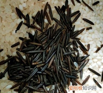 #以美食的名义说爱她#有颜值有营养的南瓜饭