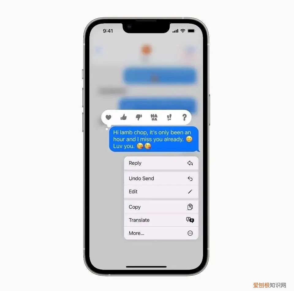 wwdc什么意思