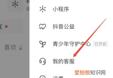 抖音充值的钱怎么退出来，抖音充值苹果手机怎么充值划算