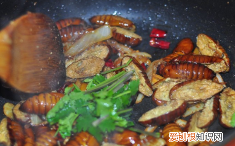 蚕怎么做好吃,蝉蛹怎样做好吃