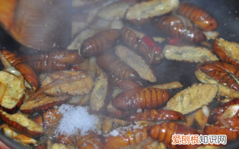 蚕怎么做好吃,蝉蛹怎样做好吃