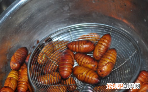蚕怎么做好吃，蝉蛹怎样做好吃