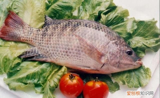 孩子咳嗽期间这8种食物不能吃,孩子支气管炎咳嗽适合吃什么食物