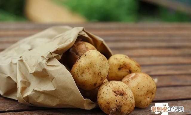 哪些食物不能放冰箱里存放 注意冰箱里不能放的5种食物