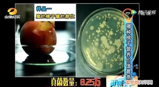 水果发霉不小心吃了一点 水果发霉好的里面也产生了毒素